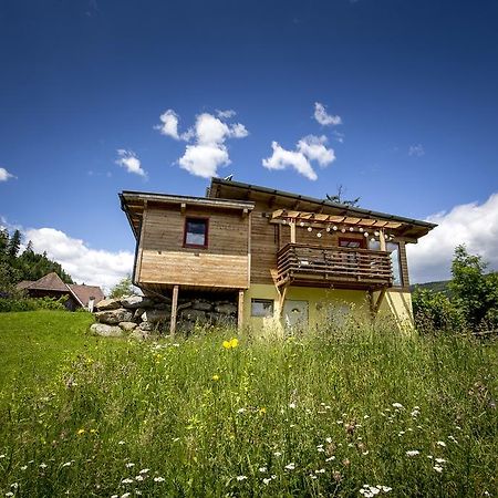 Gaestehaus Biobauernhof Mandl Murau Zewnętrze zdjęcie