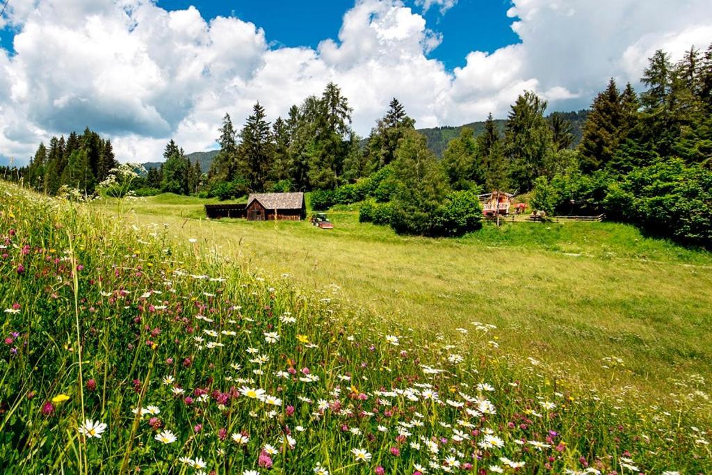 Gaestehaus Biobauernhof Mandl Murau Zewnętrze zdjęcie