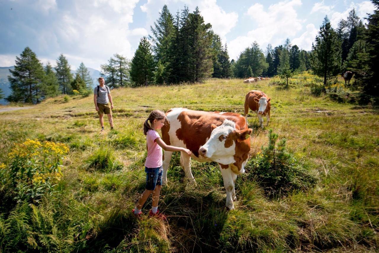 Gaestehaus Biobauernhof Mandl Murau Zewnętrze zdjęcie